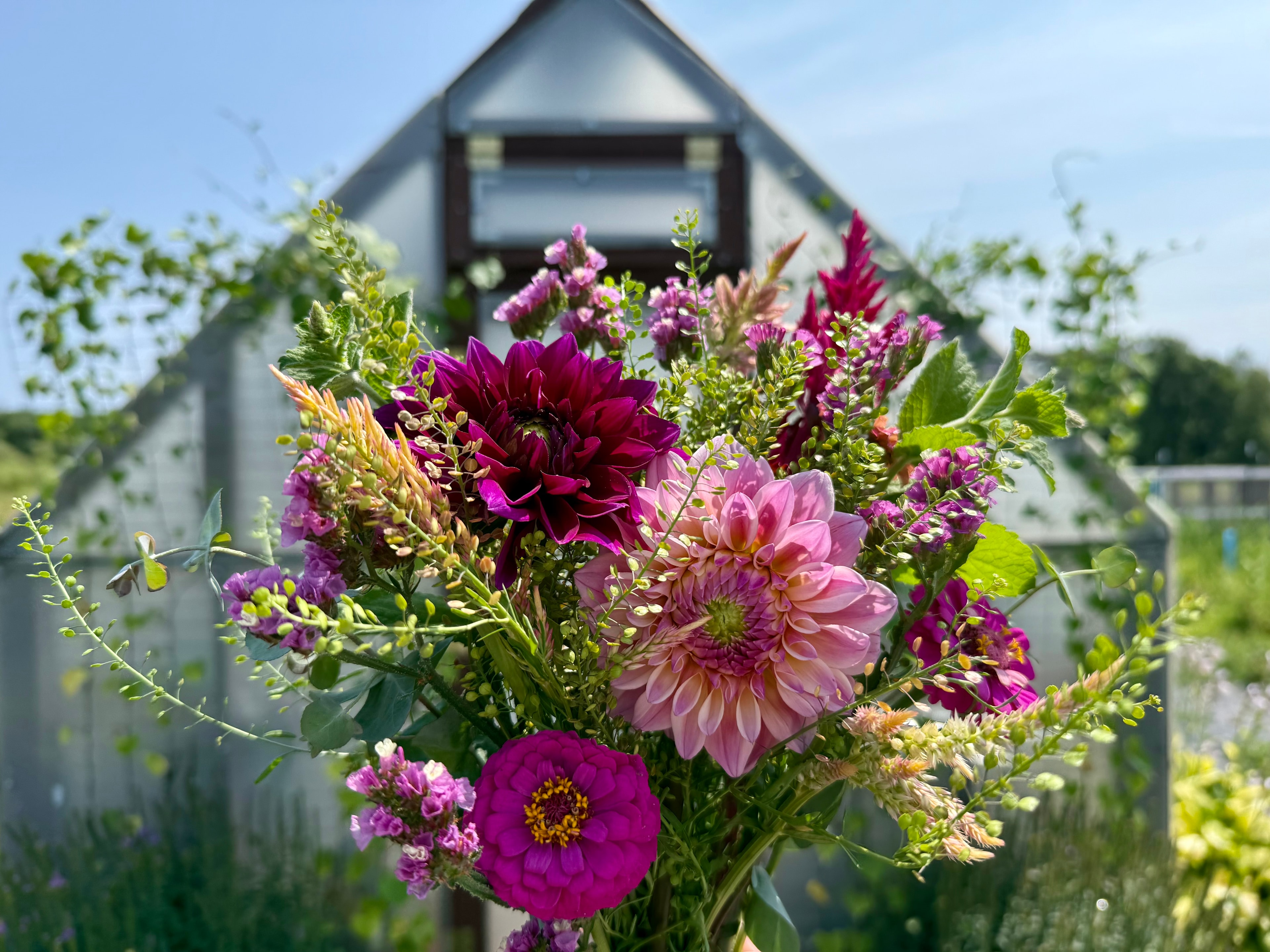 Fresh bouquet from Clever Girl Flowers