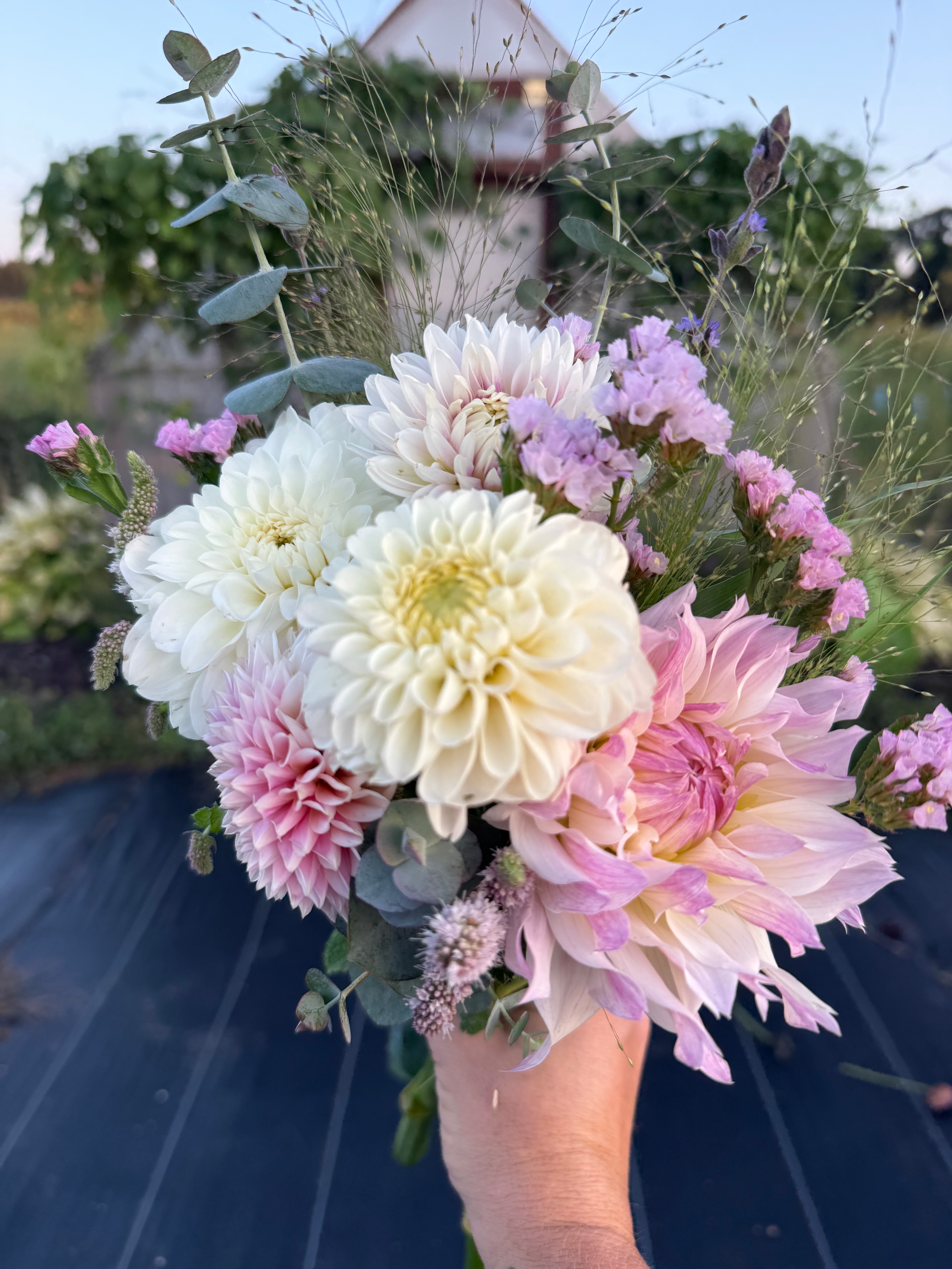 Florist arranging fresh flowers
